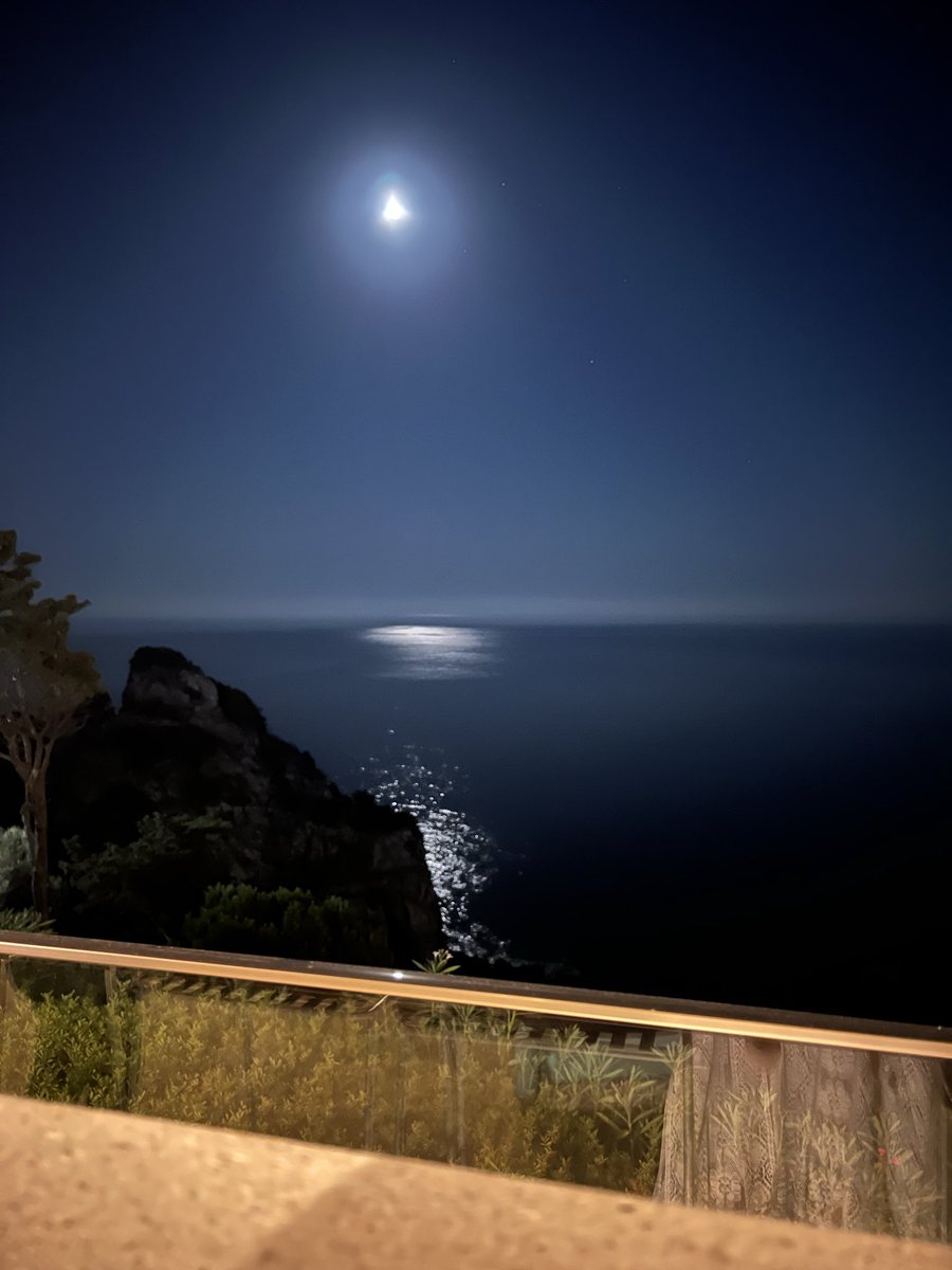 TraderSZ tweet media