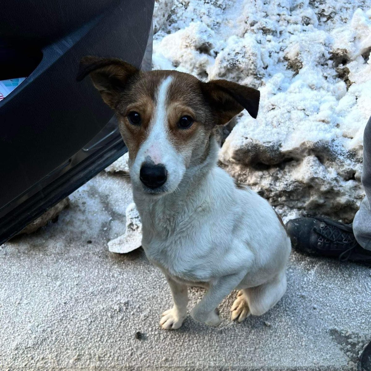 Levan | blockcraft3r tweet media