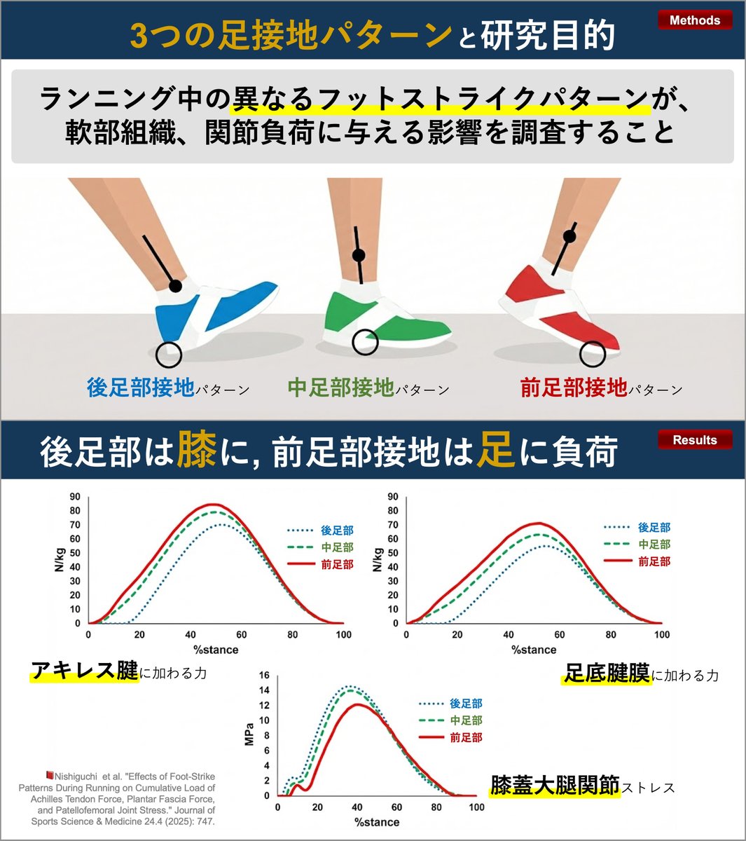 理学療法士_海津陽一 Ph.D. tweet media
