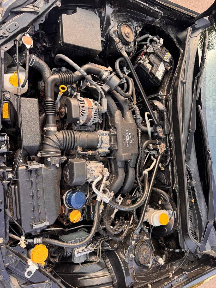 Gucho Choco Vichis tweet media