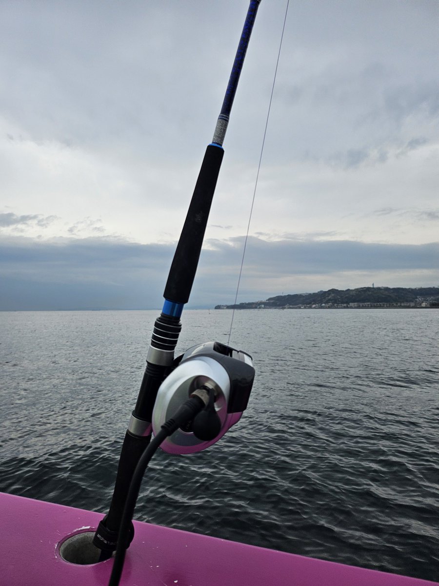 2_far_west🦊 tweet media