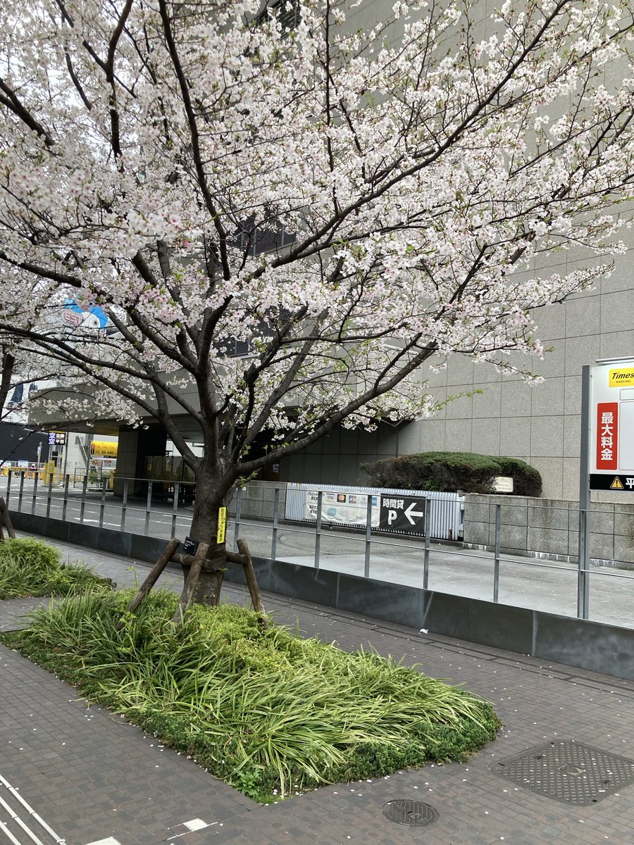 まっつー tweet media