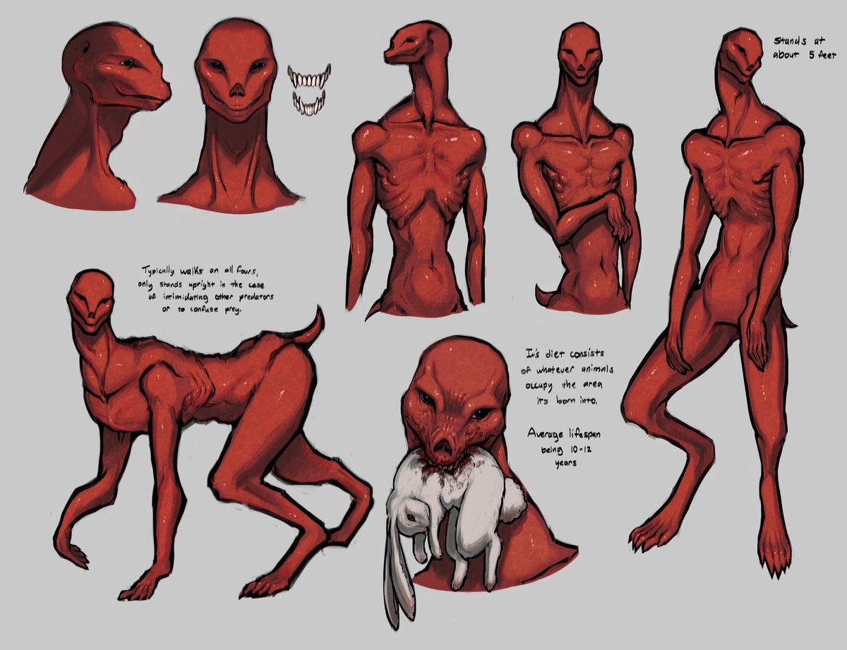 _Araignee_ tweet media