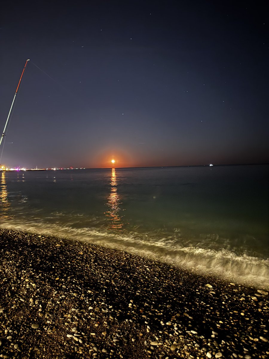 Iskander_rm 🇩🇿 tweet media