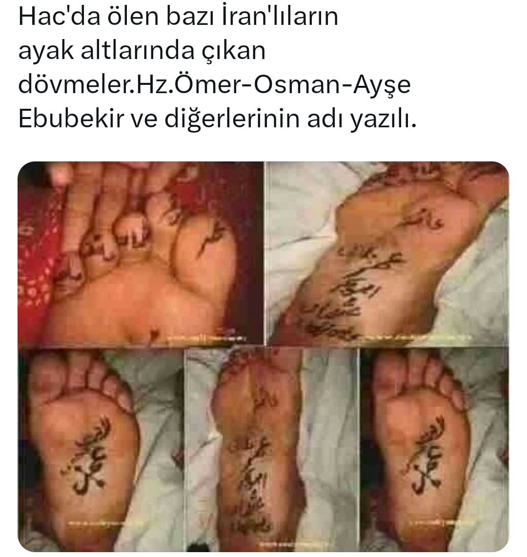 Osmanlı İrfanı tweet media