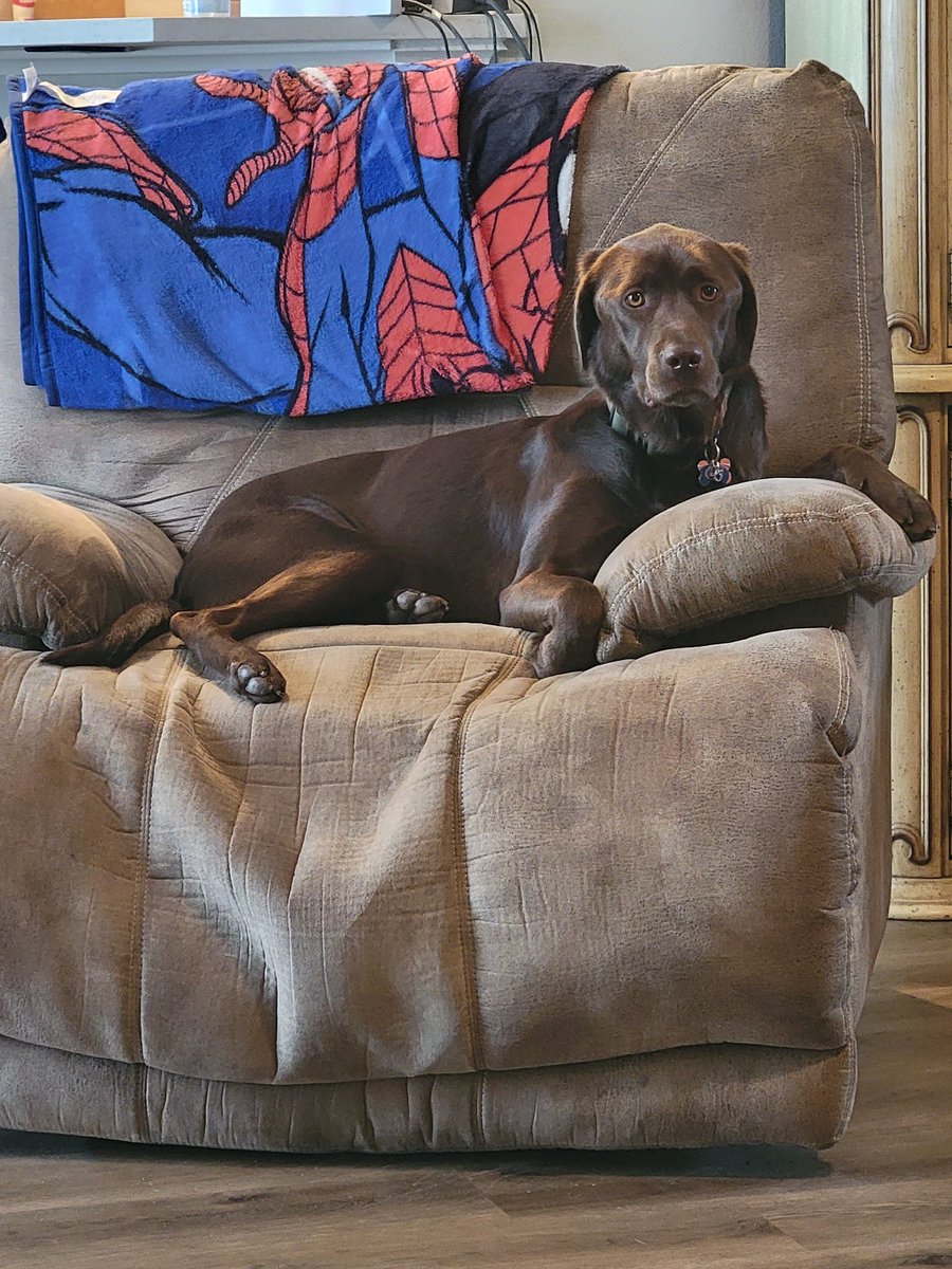 Sassafrass84 tweet media