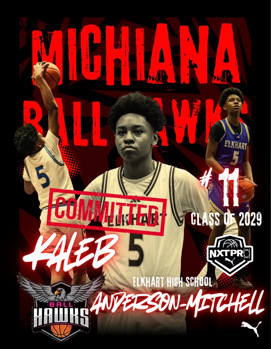 Michiana Ball Hawks tweet media