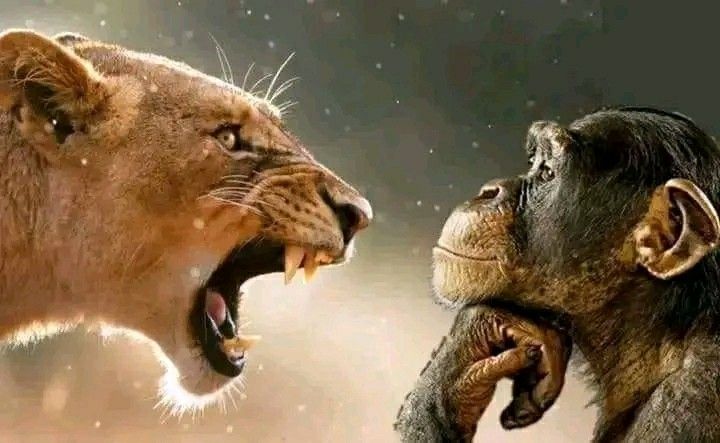 Here's the Thing tweet media