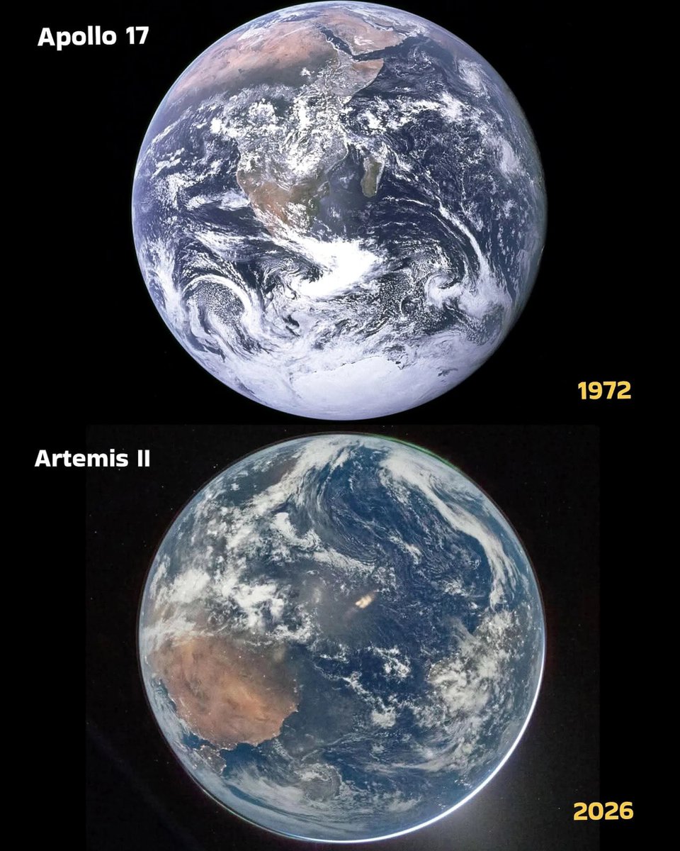 Rincón Curioso tweet media