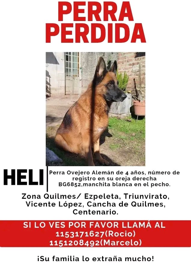 Jimena Torres ⭐️⭐️⭐️ tweet media