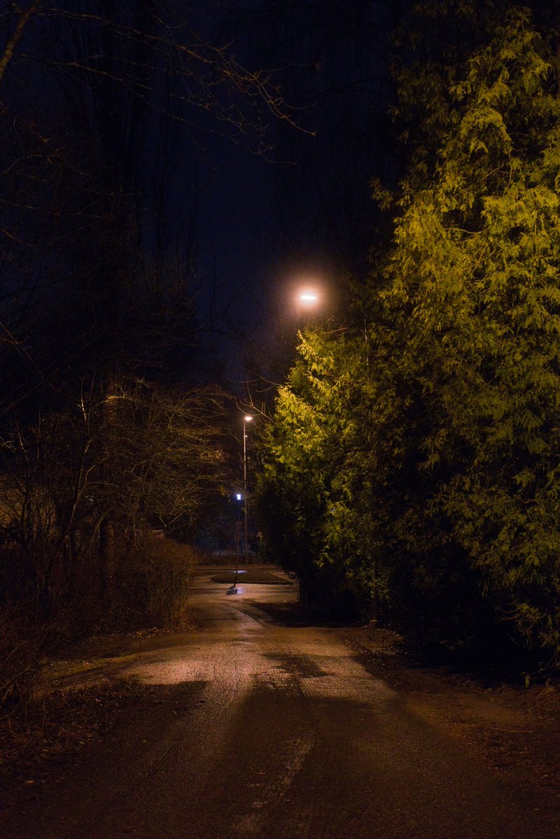 ☭⬌☠ tweet media