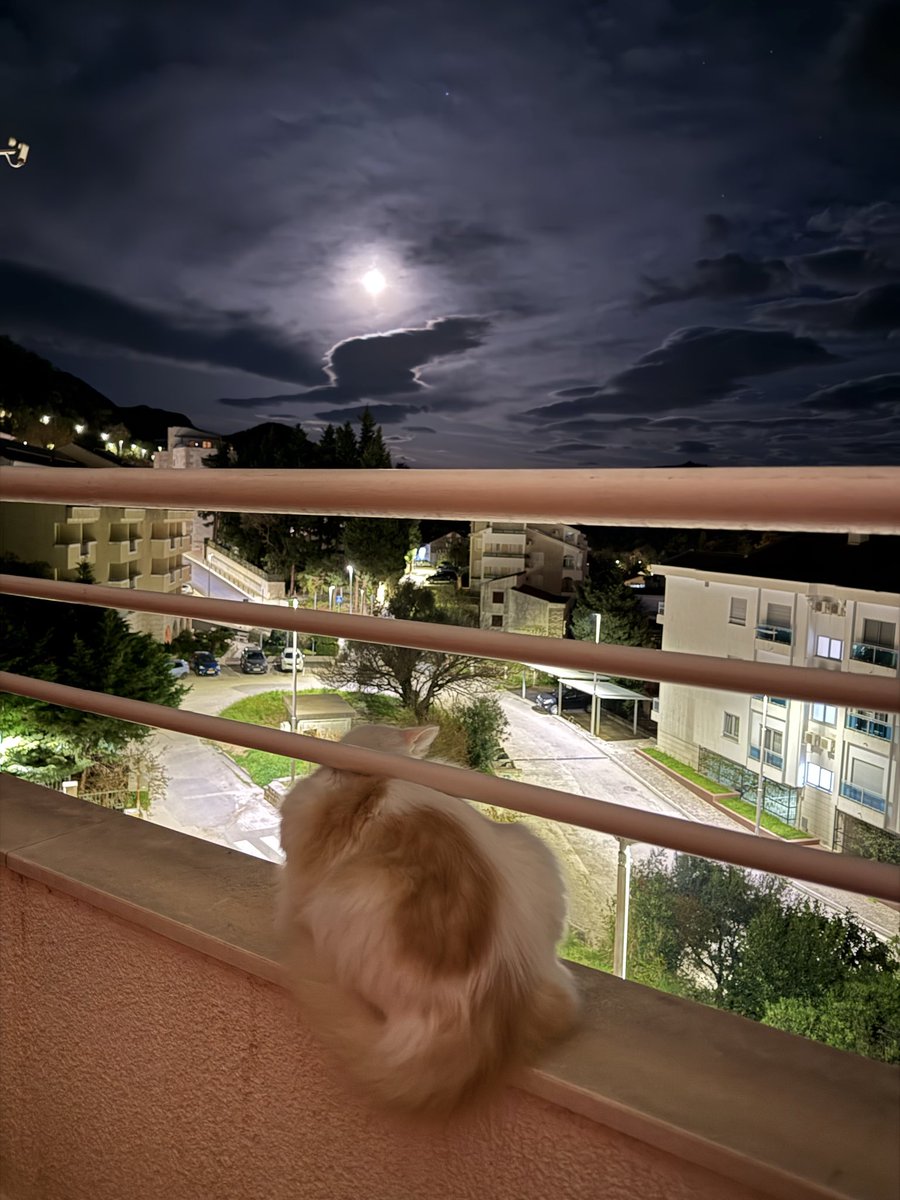 Alaska_DEV tweet media