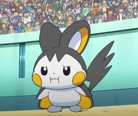 Pusha!! 🌟 tweet media