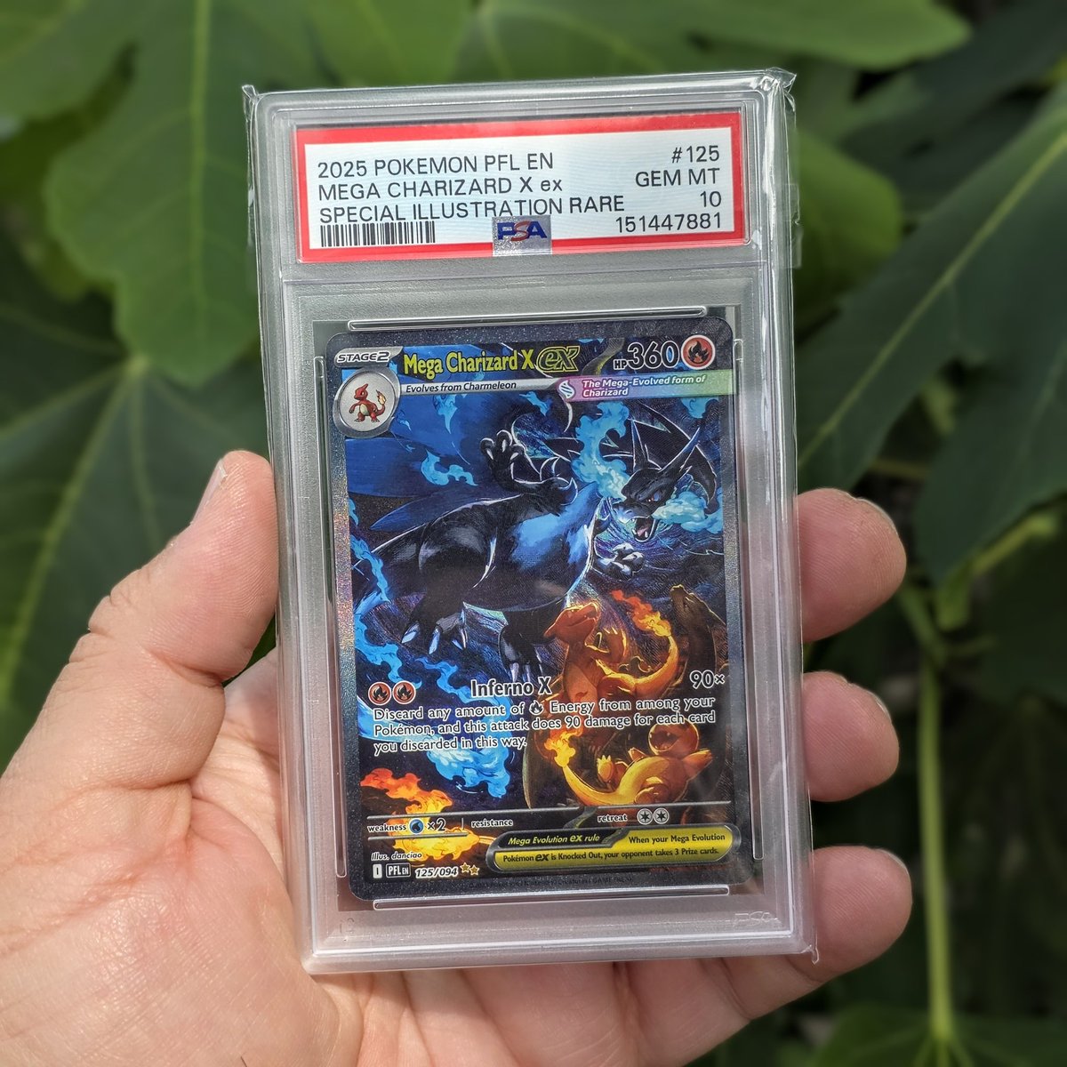 𝕁𝕒𝕪 𝔹𝕠𝕓 & 𝕊𝕠𝕟𝕤 tweet media