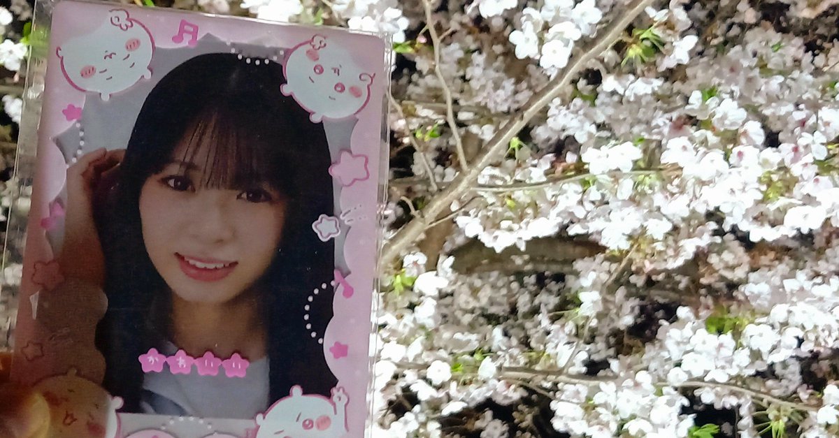 ちいくま(´(ェ)`) tweet media