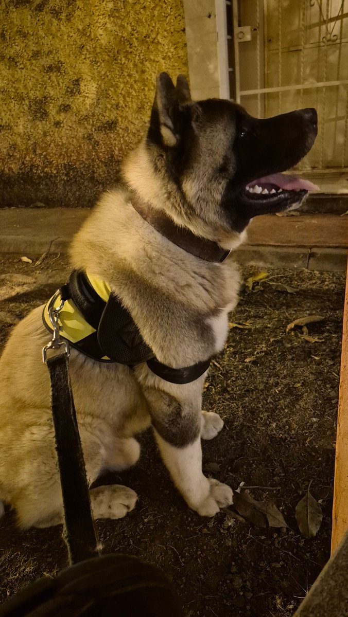 Pablo 🇬🇹 tweet media