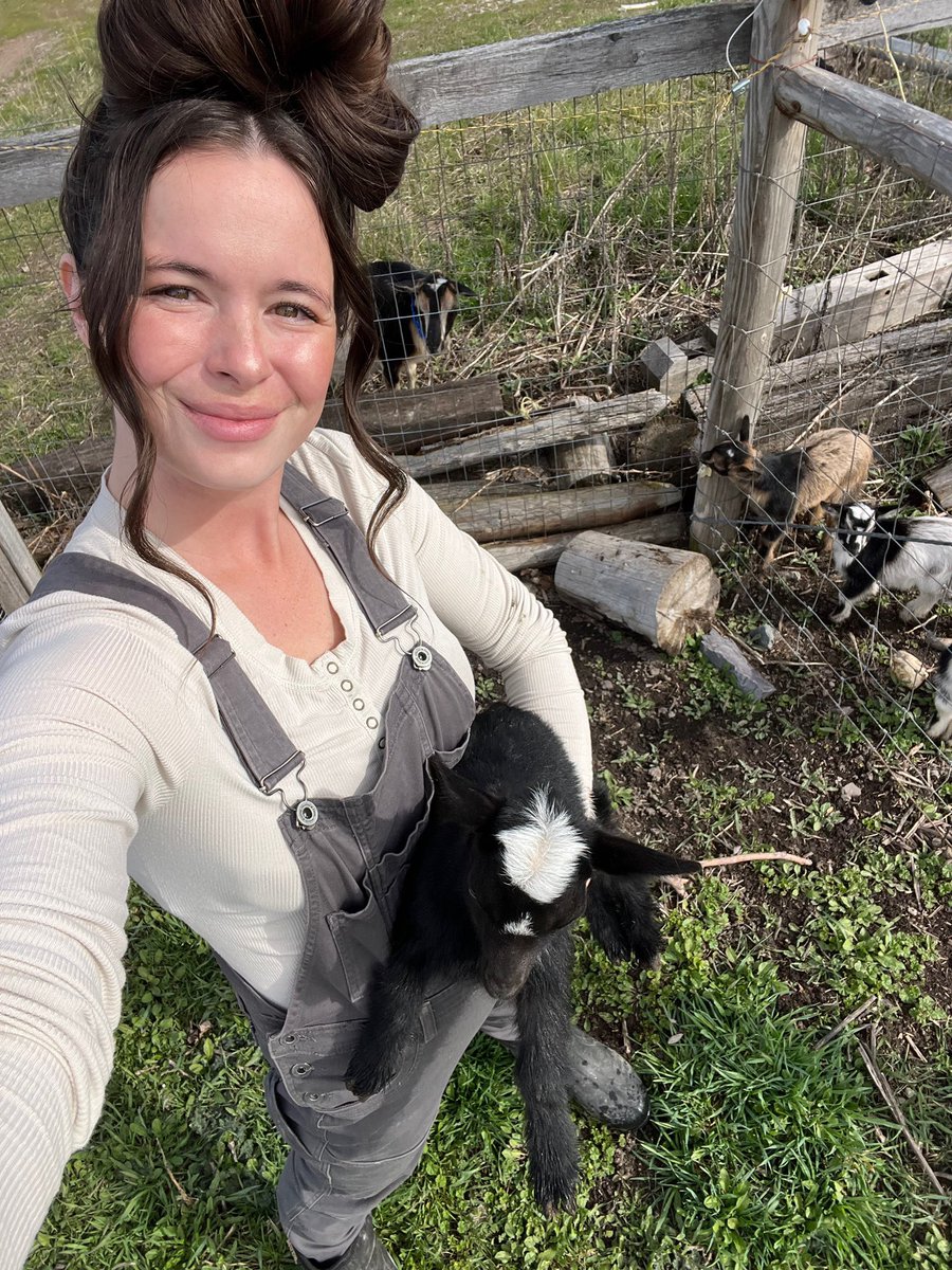 Gubba Homestead tweet media