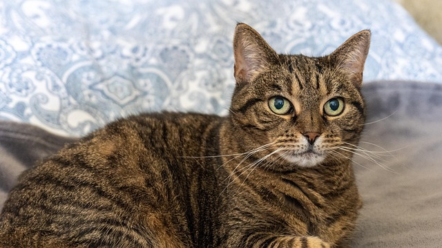 Soraya Gabrielsen tweet media