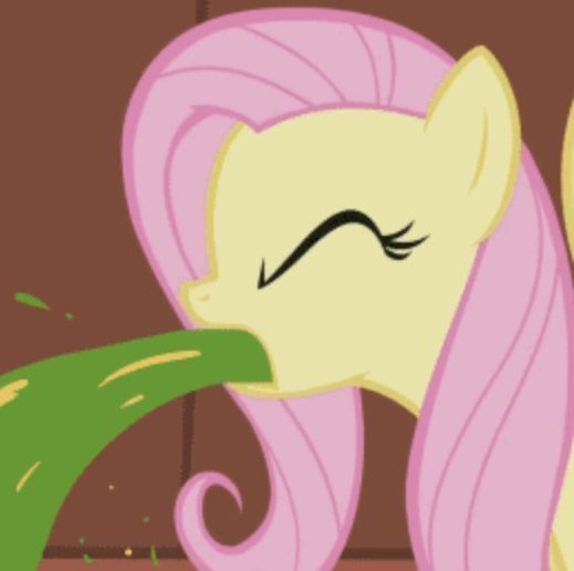 gata gorda -8 tweet media