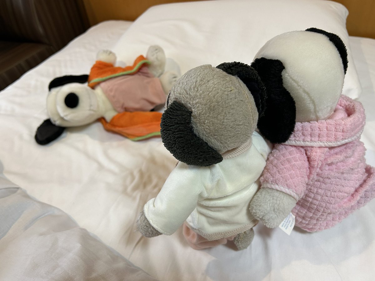 ヌー君の独り言 tweet media