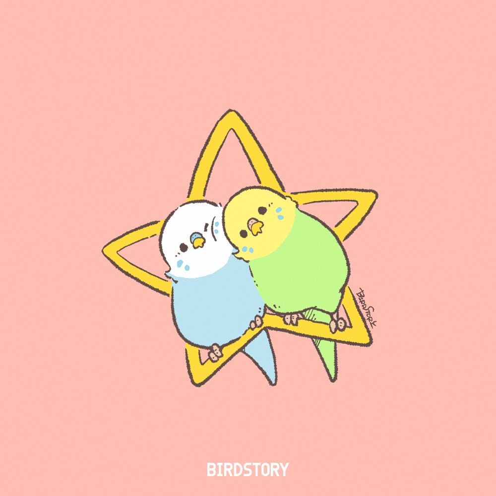 BIRDSTORY tweet media