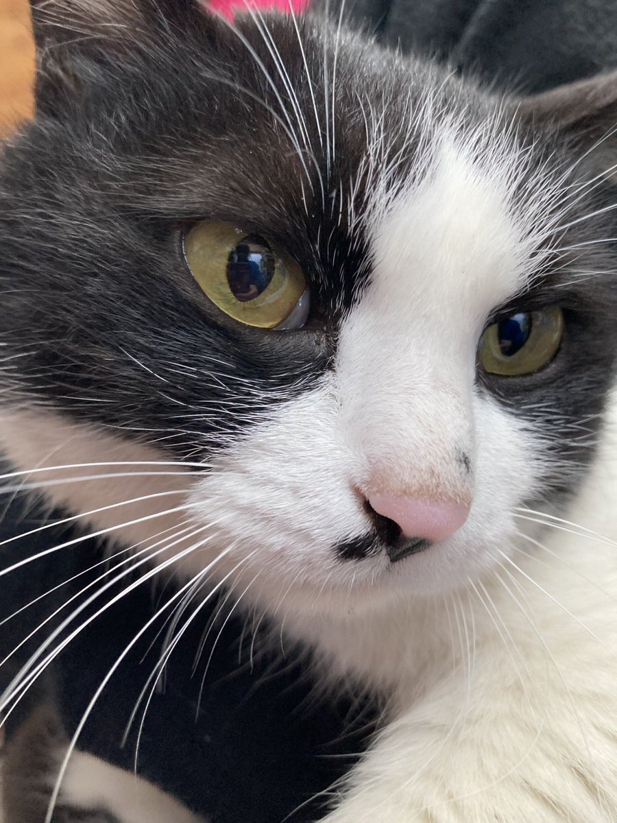 川根温泉ふれあいの泉　【公式】 tweet media