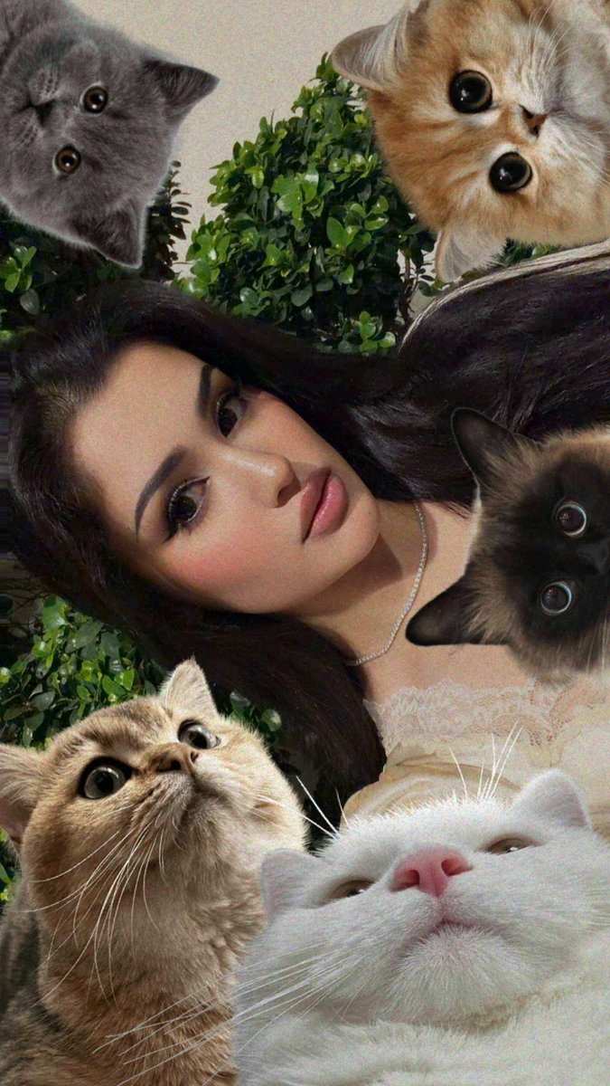 مشاهير✨ tweet media