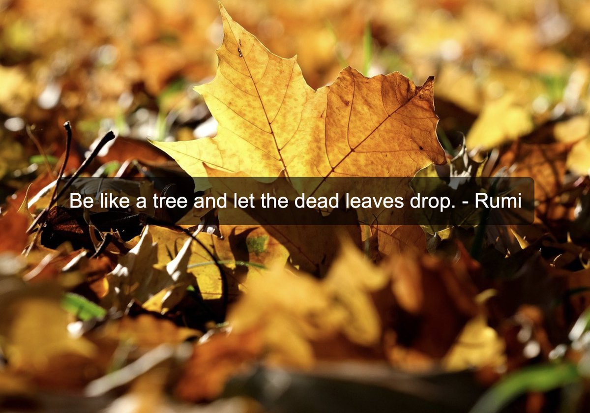 Vincent Brown tweet media