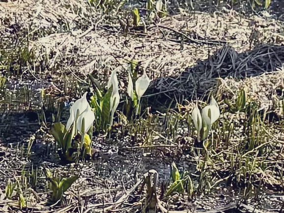 あこ♪ tweet media