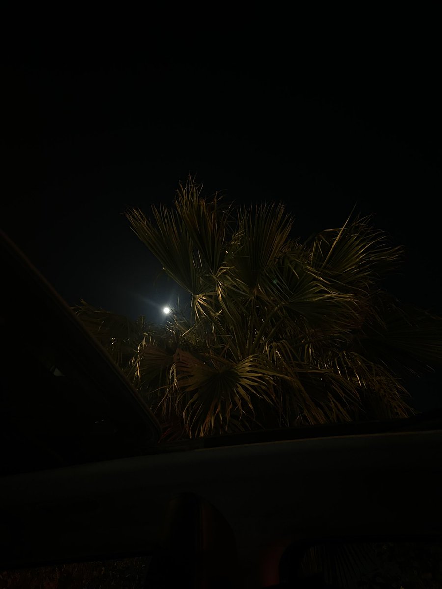 Lujain A. tweet media