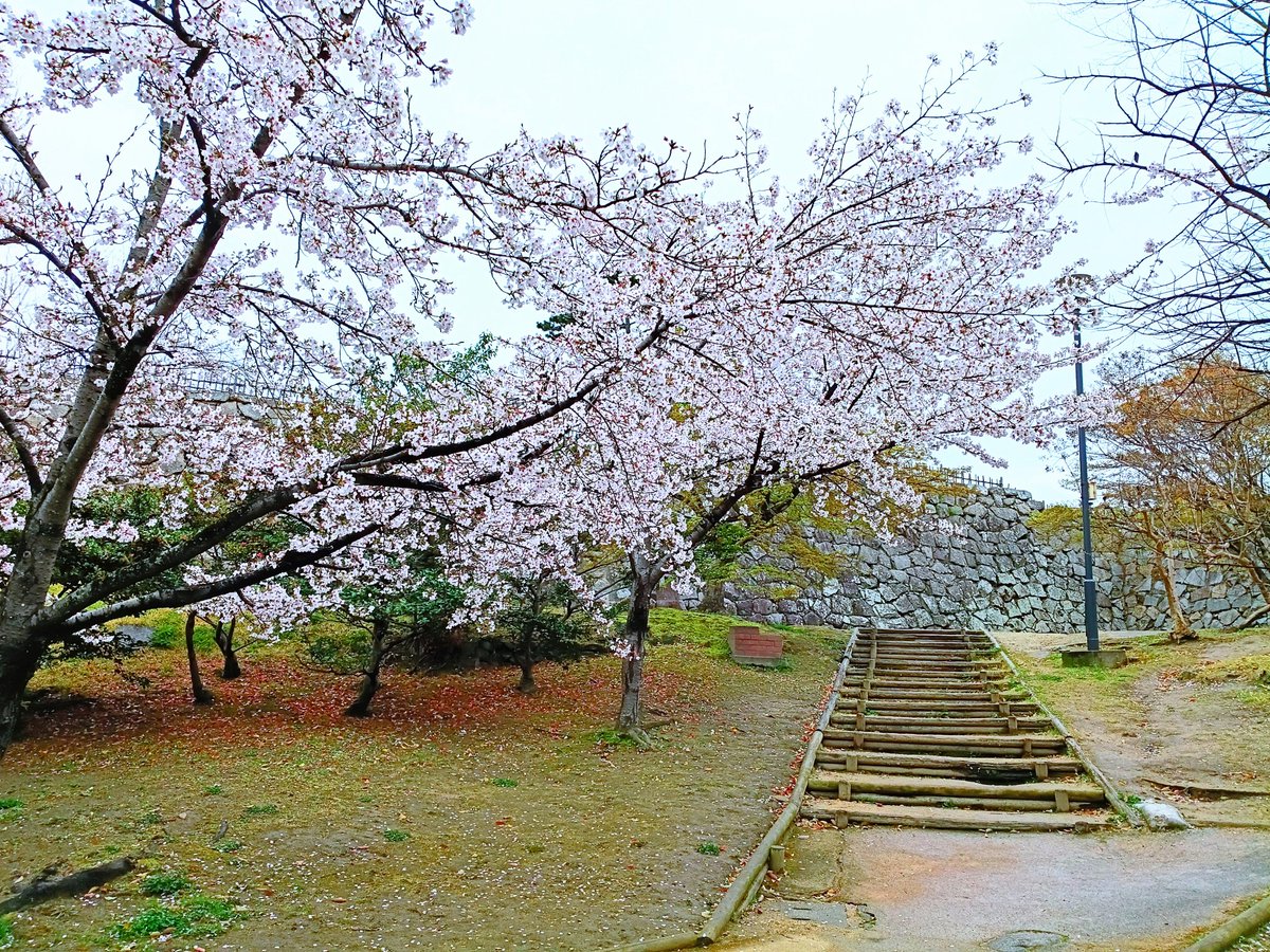 みつる tweet media