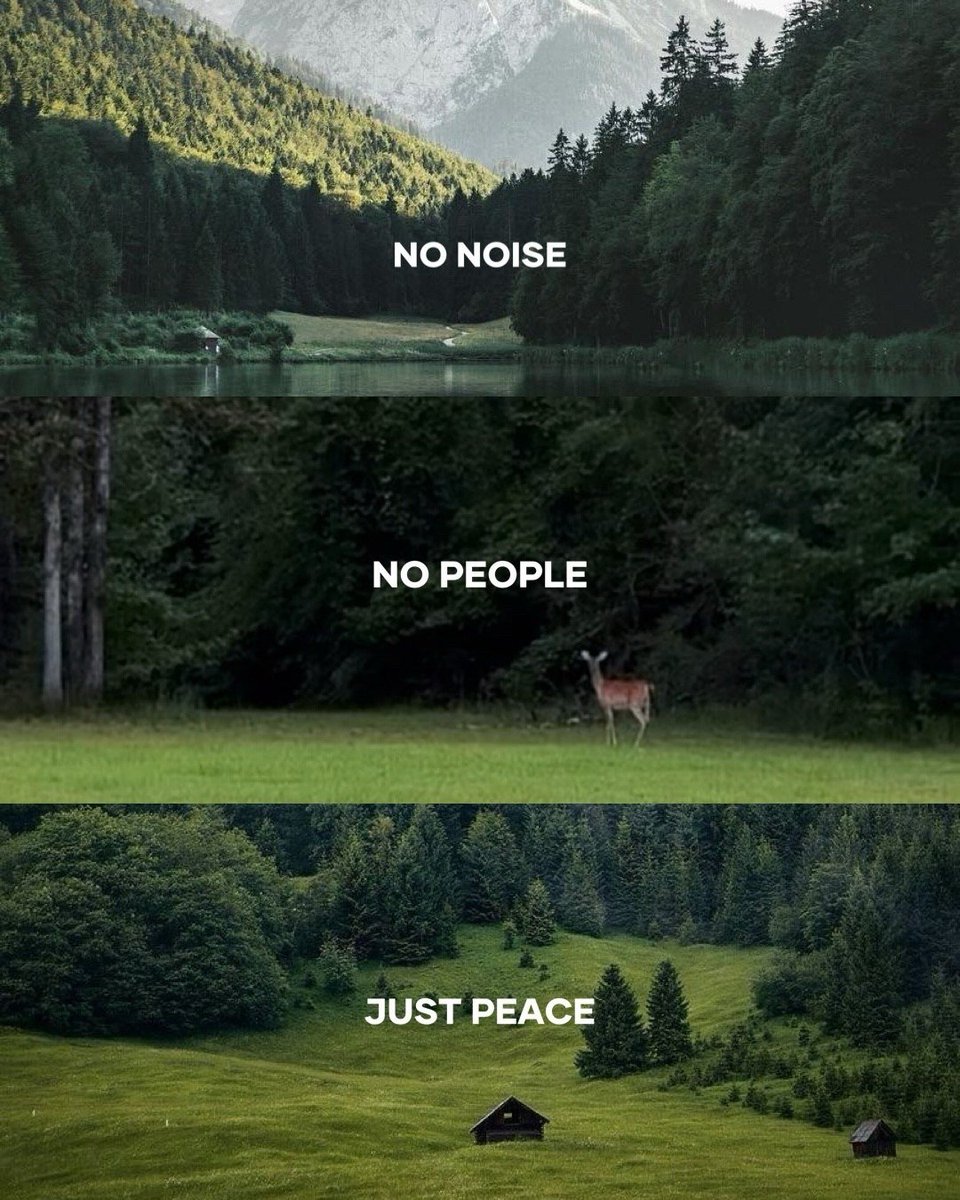 poetical photos. tweet media