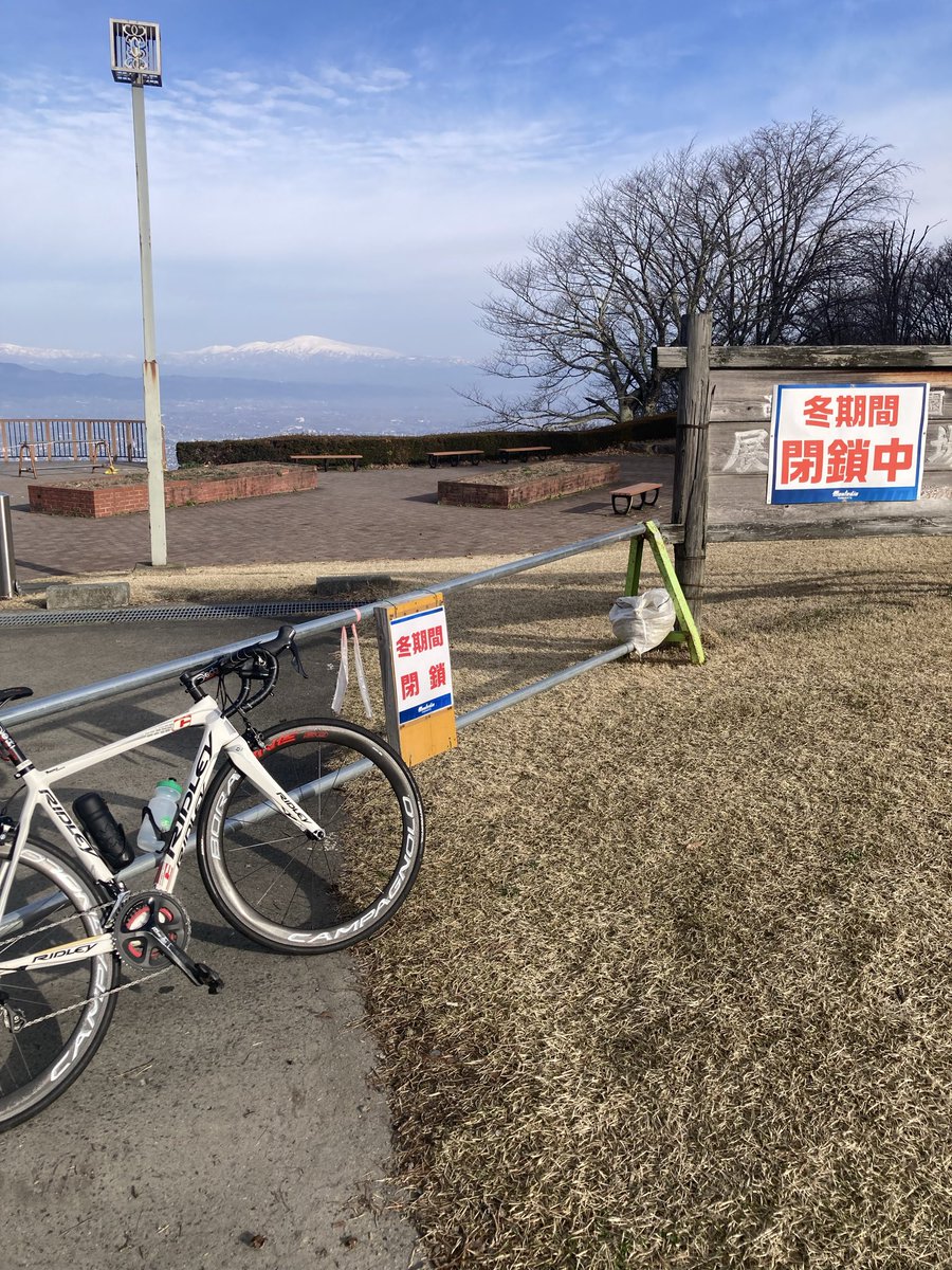 とよたま@ tweet media