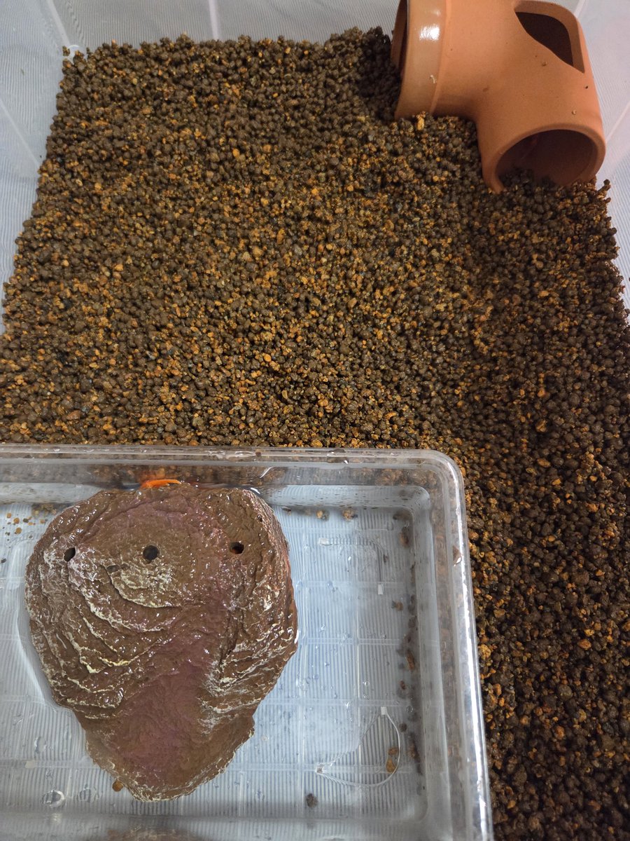 なるみグリム tweet media