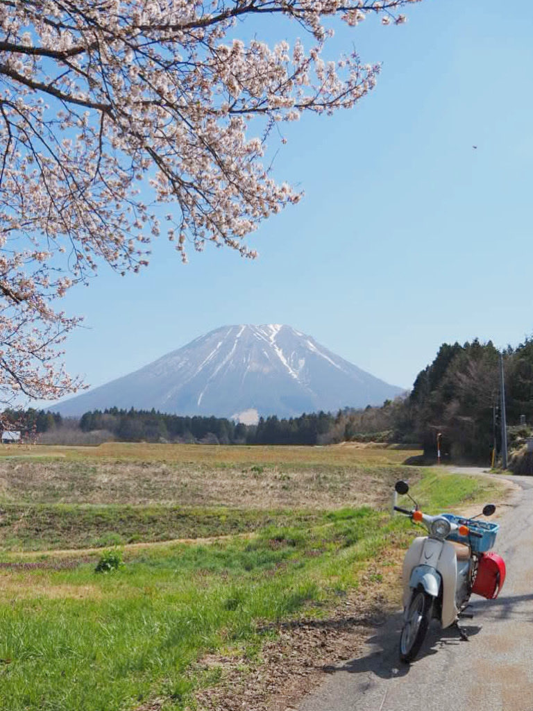 mk826jp's tweet photo. 大山、いい感じに雪が残ってくれてた😊昨日撮影 https://t.co/ucy7UrWsu3