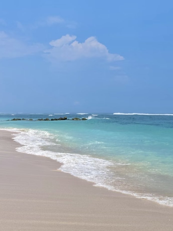 Noorie lova tweet media