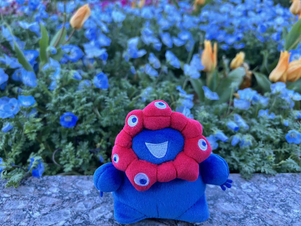 ほの໒꒱· ﾟ tweet media