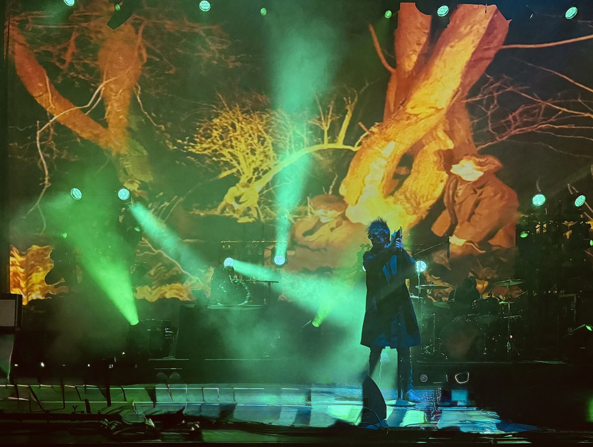 🧀 NYcheesy tweet media