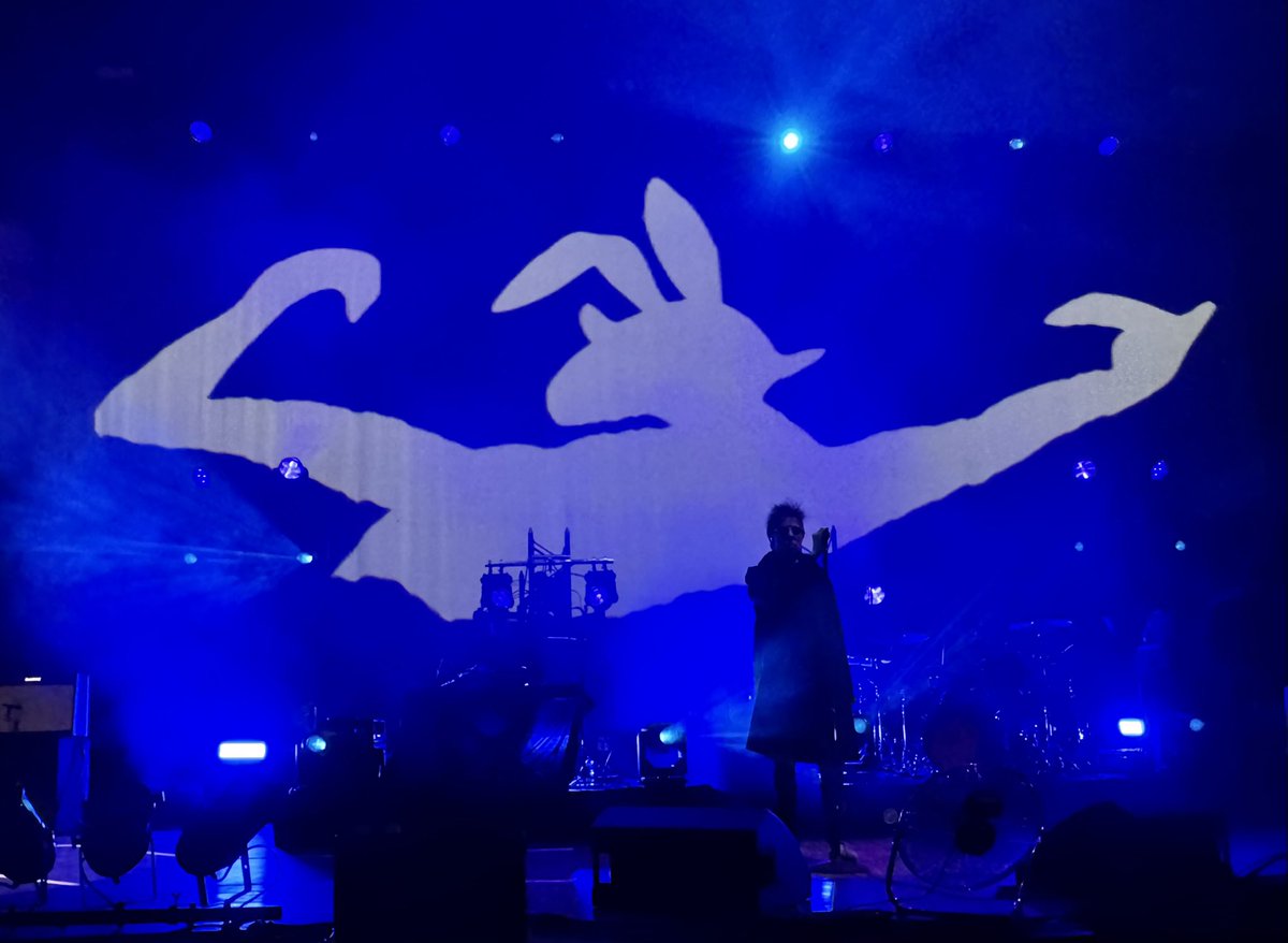 🧀 NYcheesy tweet media