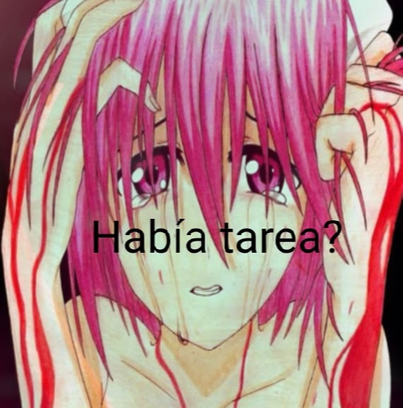 𝓝𝓪𝓬𝓱𝓸 tweet media