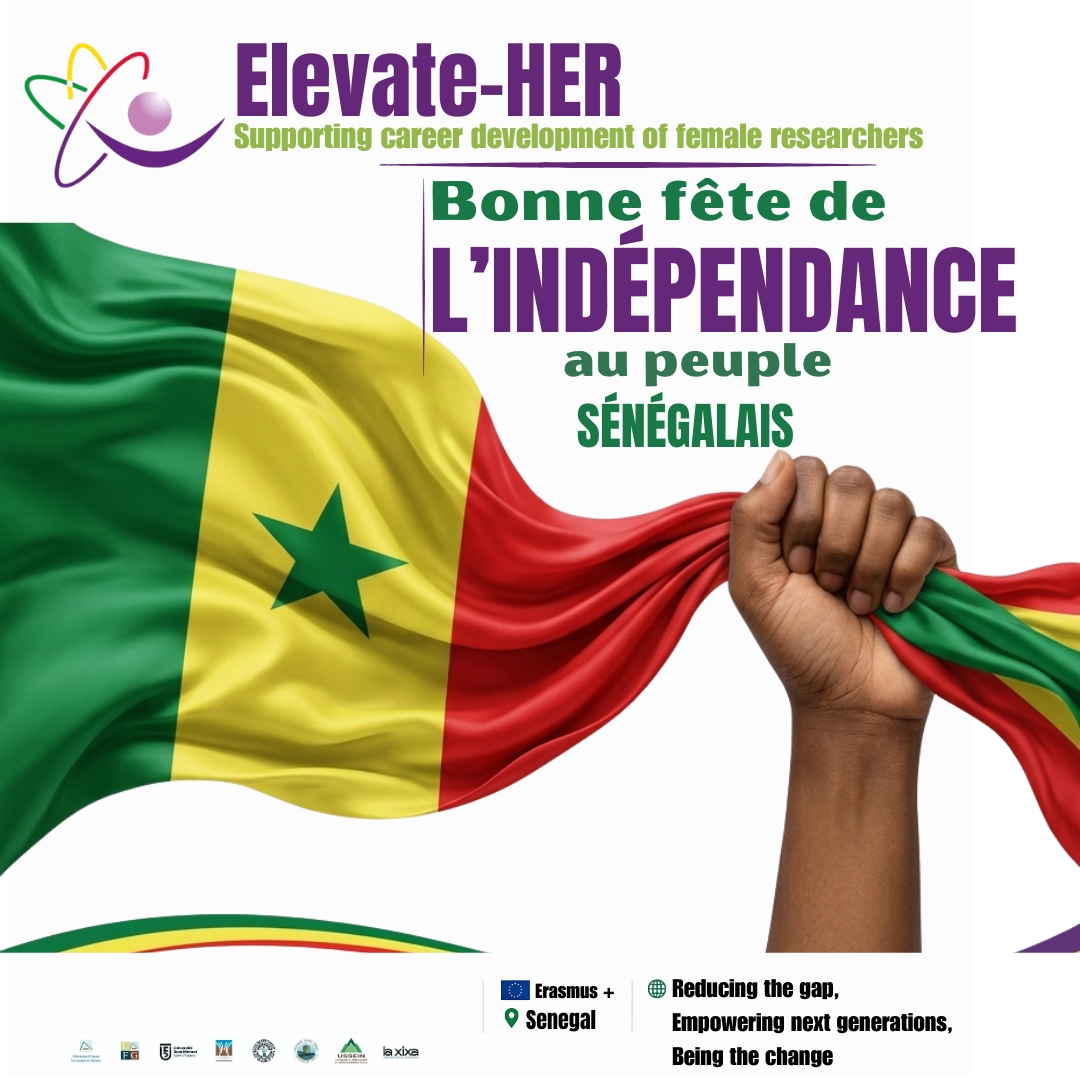 elevatehererasmus tweet media