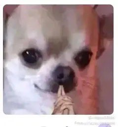 ₿L₳DIMIR 🗡️ tweet media