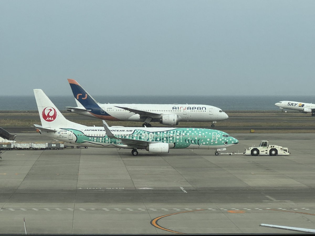 KNG_Seven's tweet photo. セントレアになぜかAIR JAPANいた。
セントレアにも就航してほしかったな…。 https://t.co/1mKjiapSi0