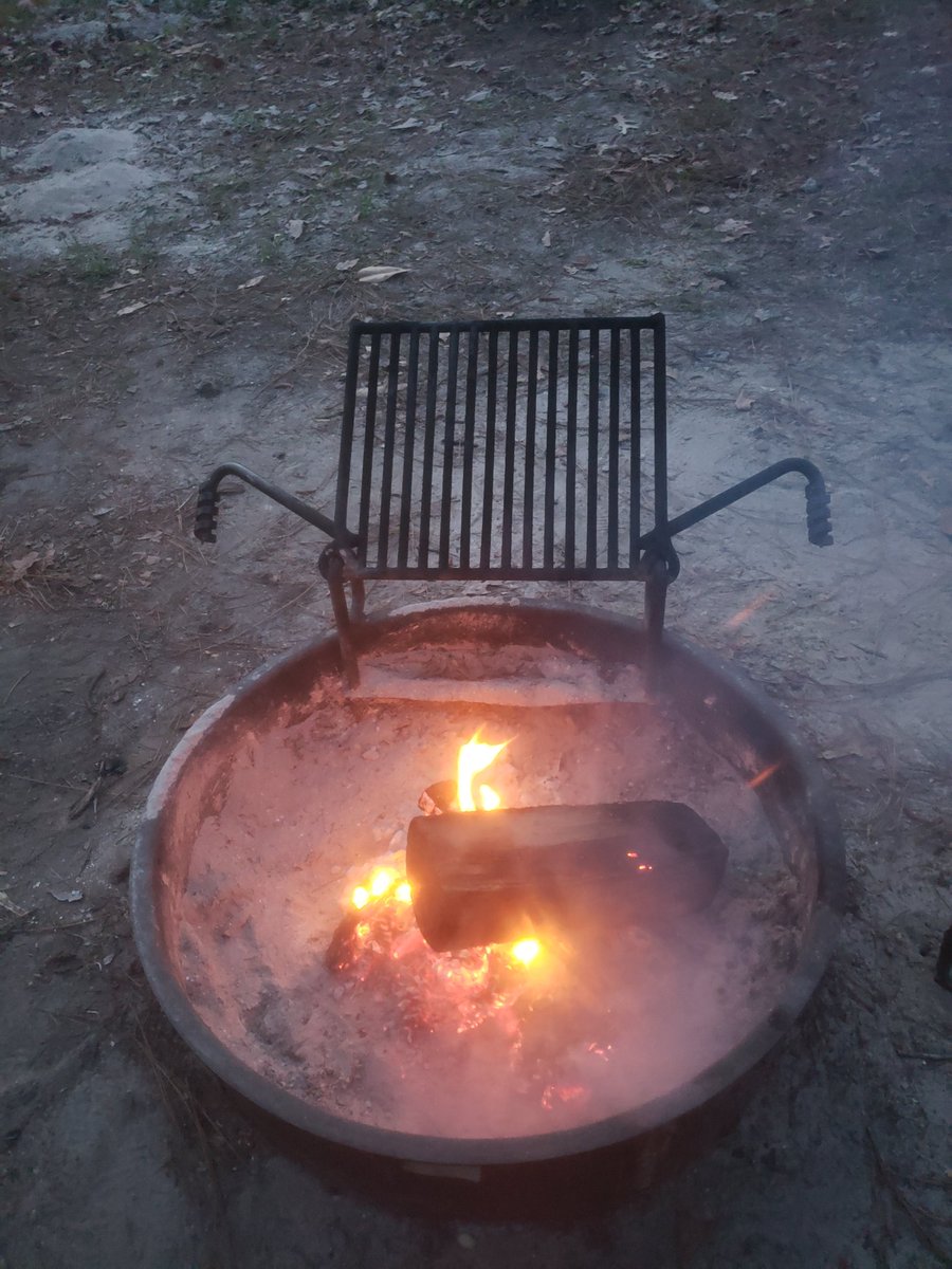 Laura ⚡💪 tweet media