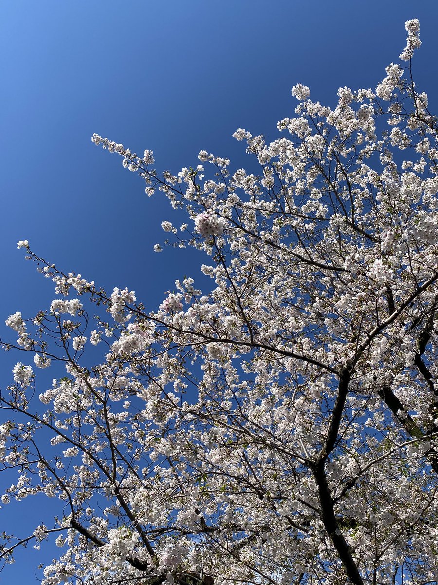 𝓐𝓺𝓾𝓪𝓻𝓲𝓾𝓼❆✧٭ tweet media