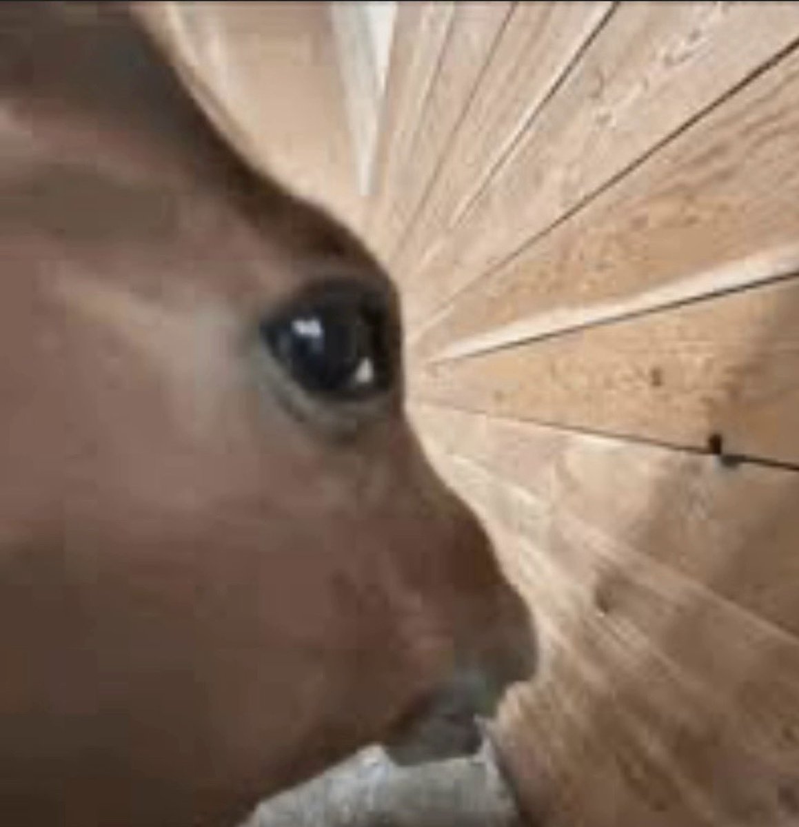 Mark is going to be okay right???