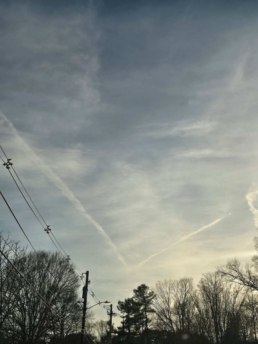 Boston Patriot 🇺🇸✌️ tweet media