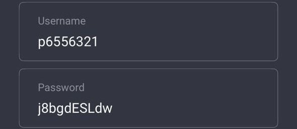 The Crow 🐦‍⬛ tweet media