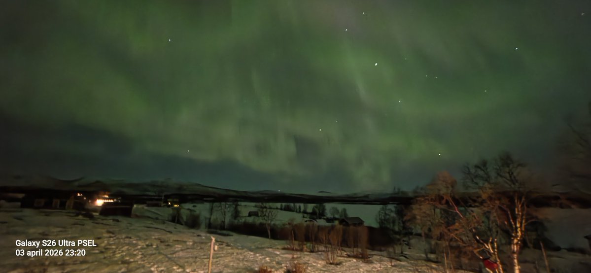 65selander 🇸🇪🇩🇪🇺🇦🇦🇹🇩🇴 tweet media