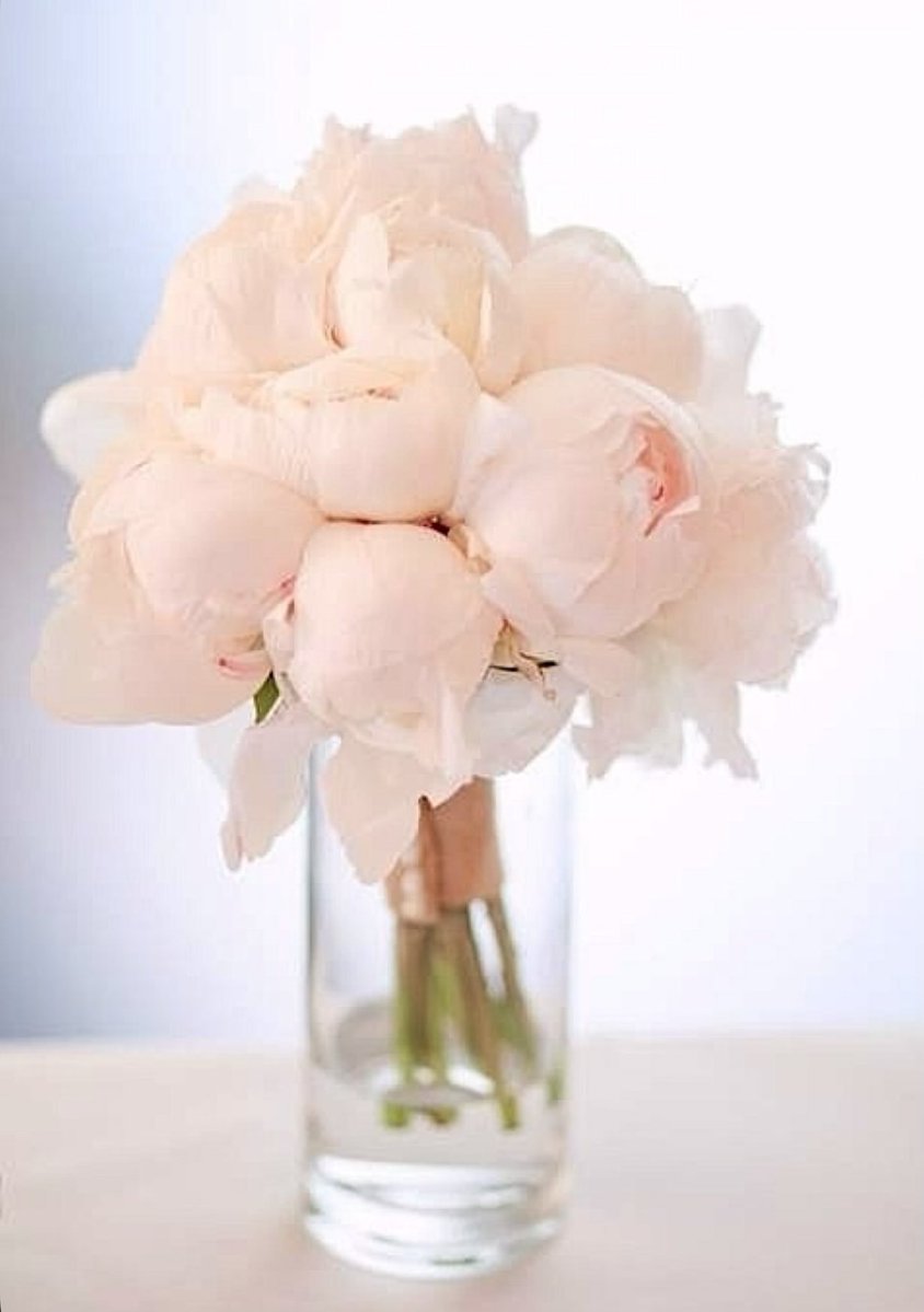 Elle Lookbook tweet media